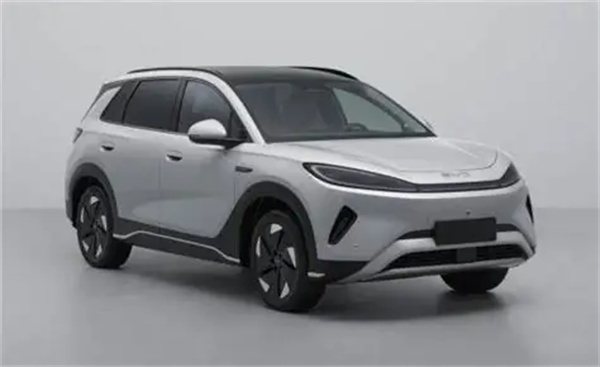 OIP-C.jpg