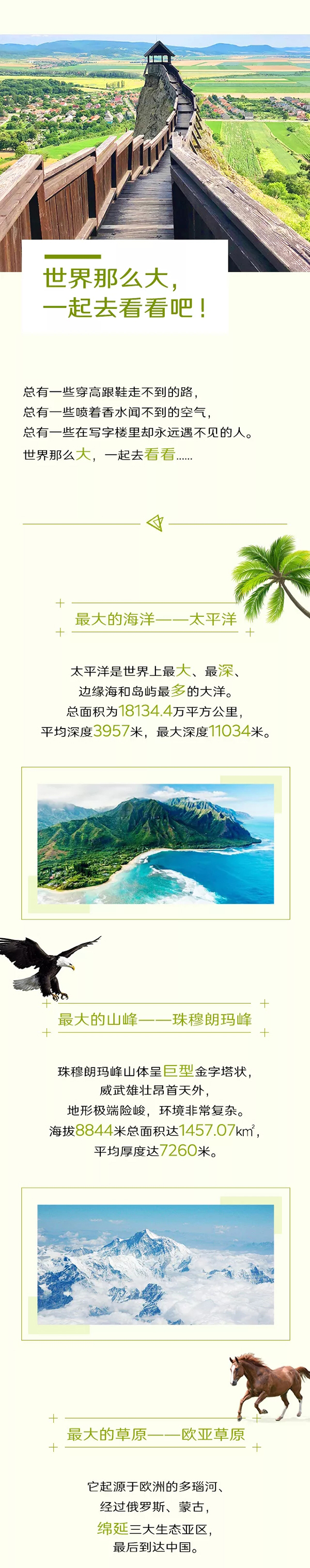 640.webp.jpg