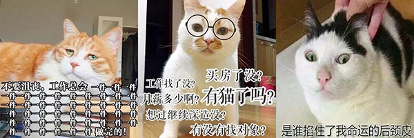 奋斗1.jpg